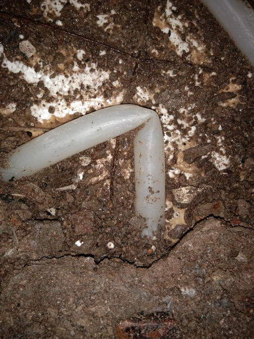 定州堵点精准查找